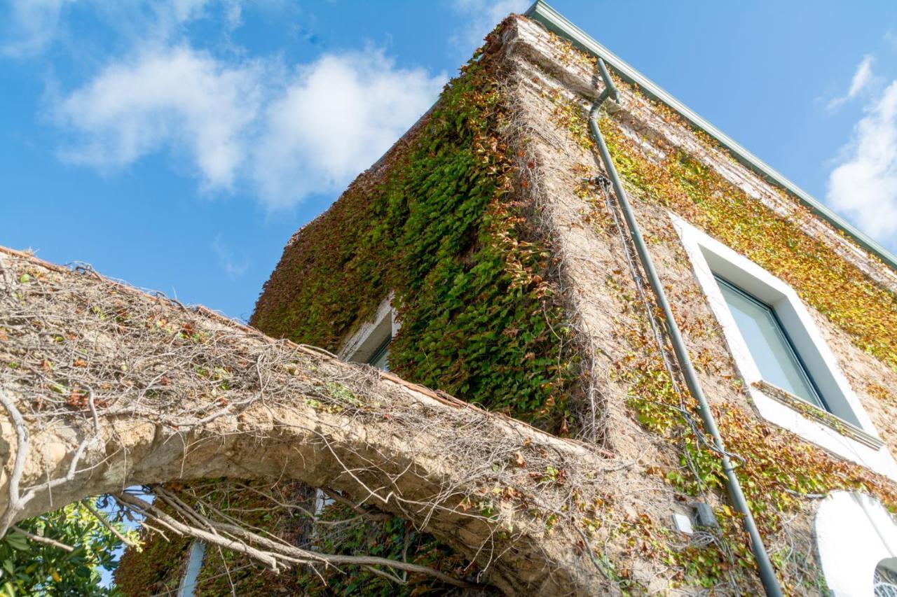 La Belle Vie B&B Santa Maria di Castellabate Eksteriør billede