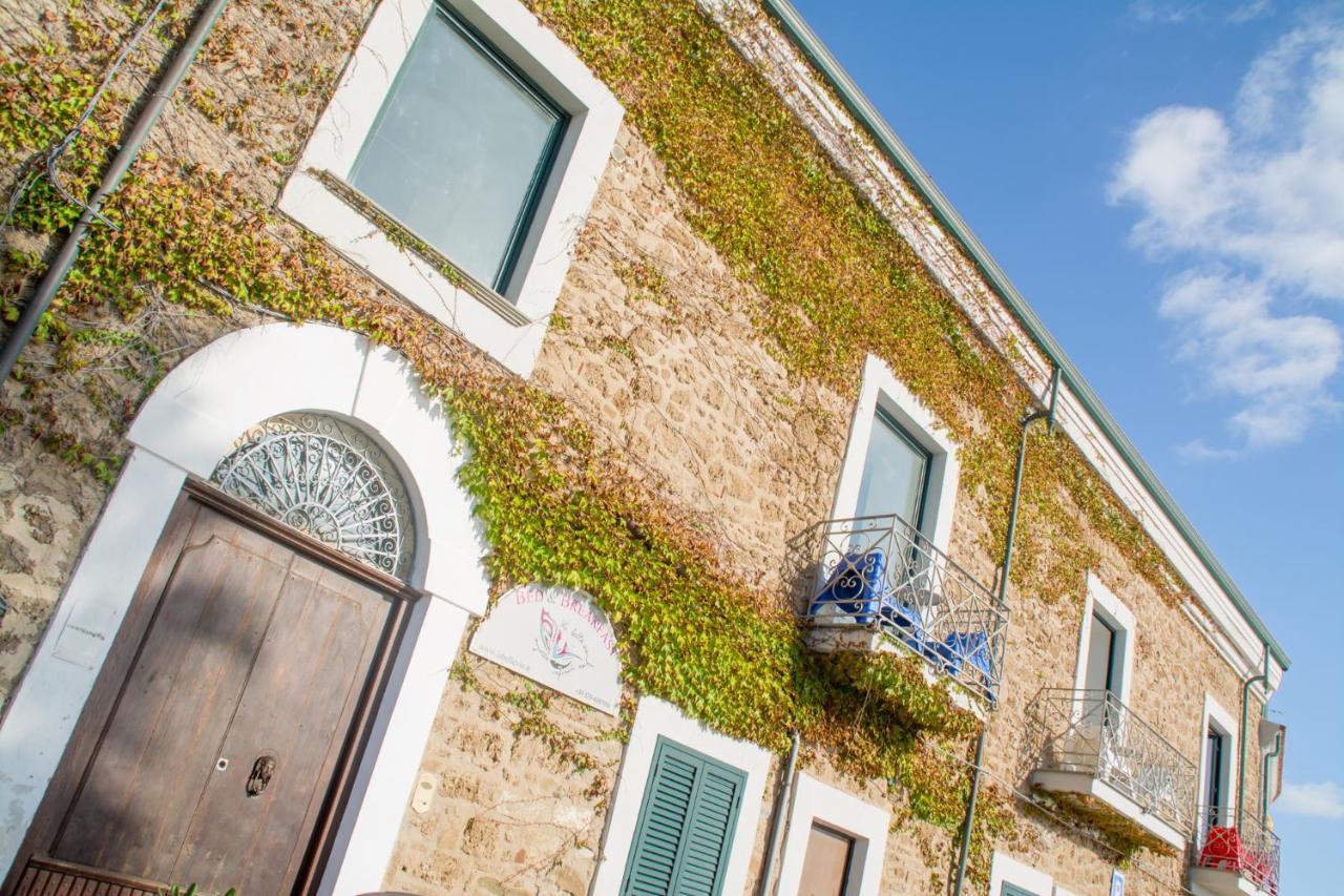 La Belle Vie B&B Santa Maria di Castellabate Eksteriør billede